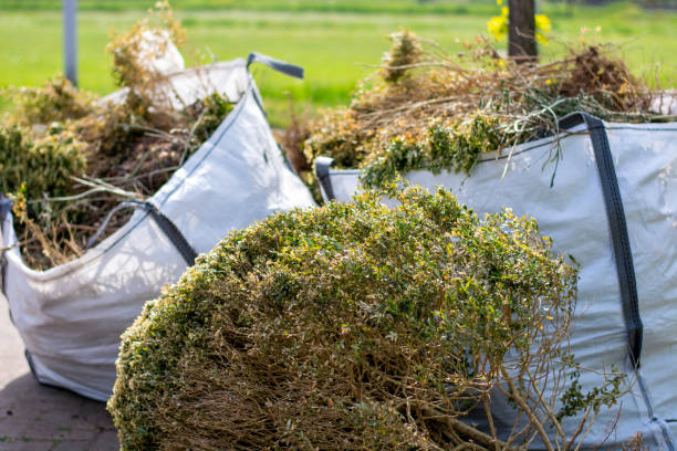 Best Mattress Removal Service  in Cicero, IN